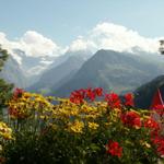 Bifertenstock und Tödi wolkenbedeckt, freier Blick auf Fisetengrat