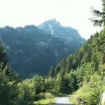 auf asphaltierter Strasse geht es runter nach Talalp