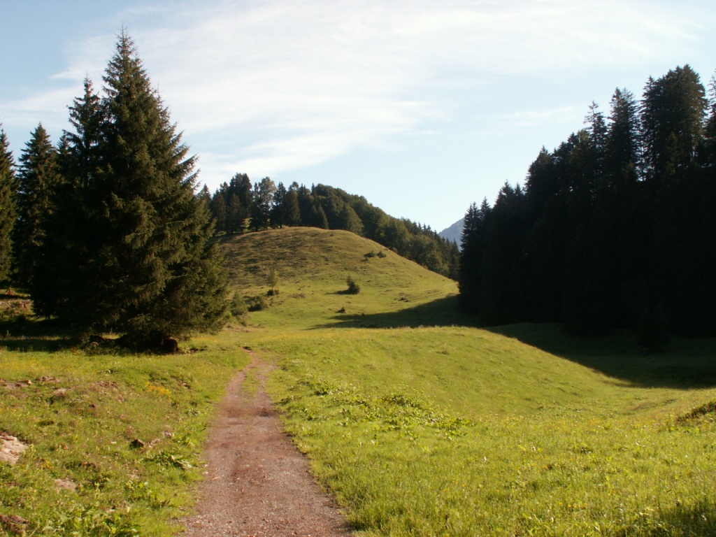 bei Ruestel 1111 m.ü.M.