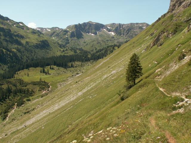 auf dem Höhenweg bei Mürtschen geht es Richtung Ober Mürtschen