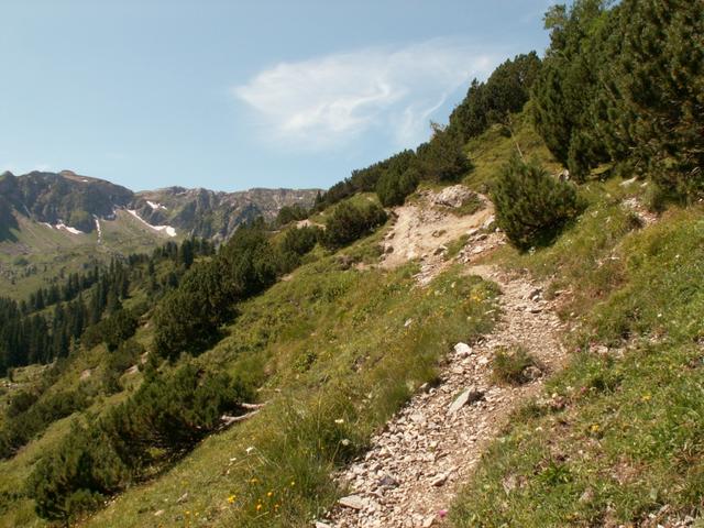 Bergweg bei Ober Matten