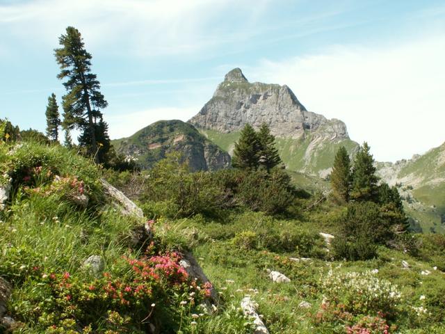 der Fronalpstock von seiner nicht bezwingbaren Seite