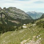 Alp Hummel im Hintergund der Nüenchamm