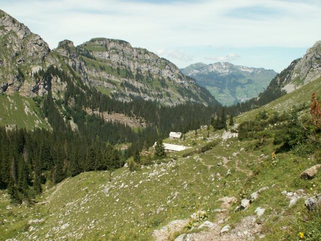 Alp Hummel im Hintergund der Nüenchamm