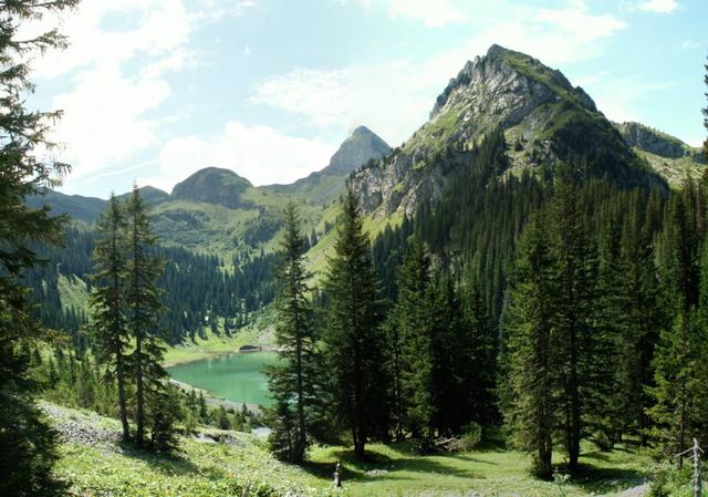 Blick zurück zum Spaneggsee