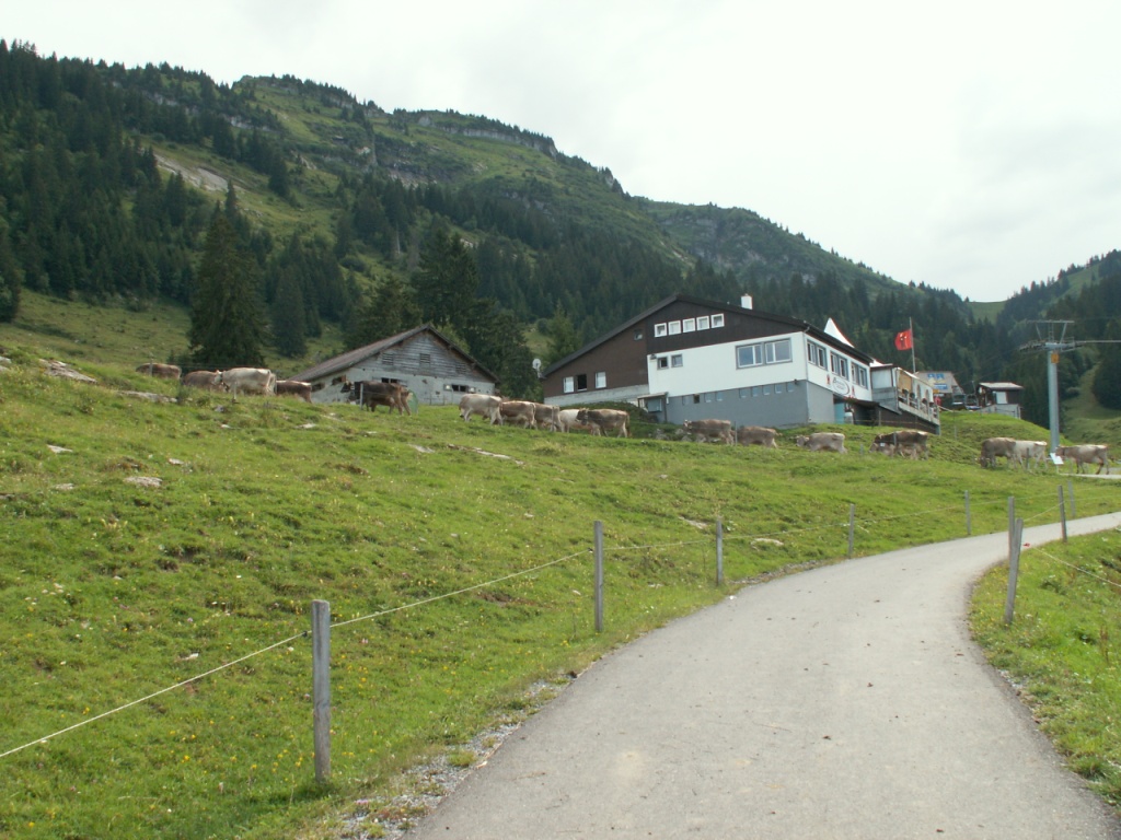 Bergstation Habergschwänd