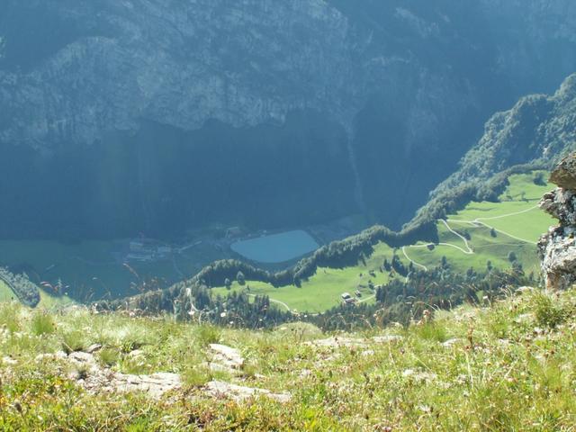 Blick runter auf Tierfehd