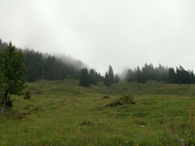 unser Weg führt in den Nebel