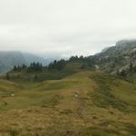 ober Lachenalp