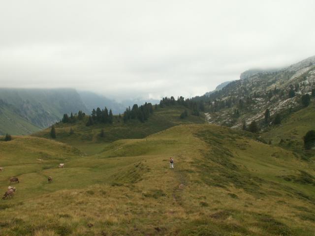 ober Lachenalp