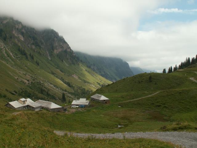 unter Lachenalp 1563 m.ü.M.