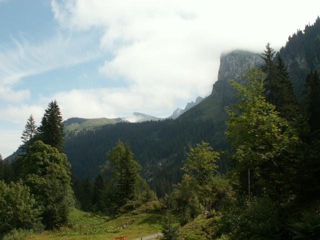 Blick Richtung Rautihütten