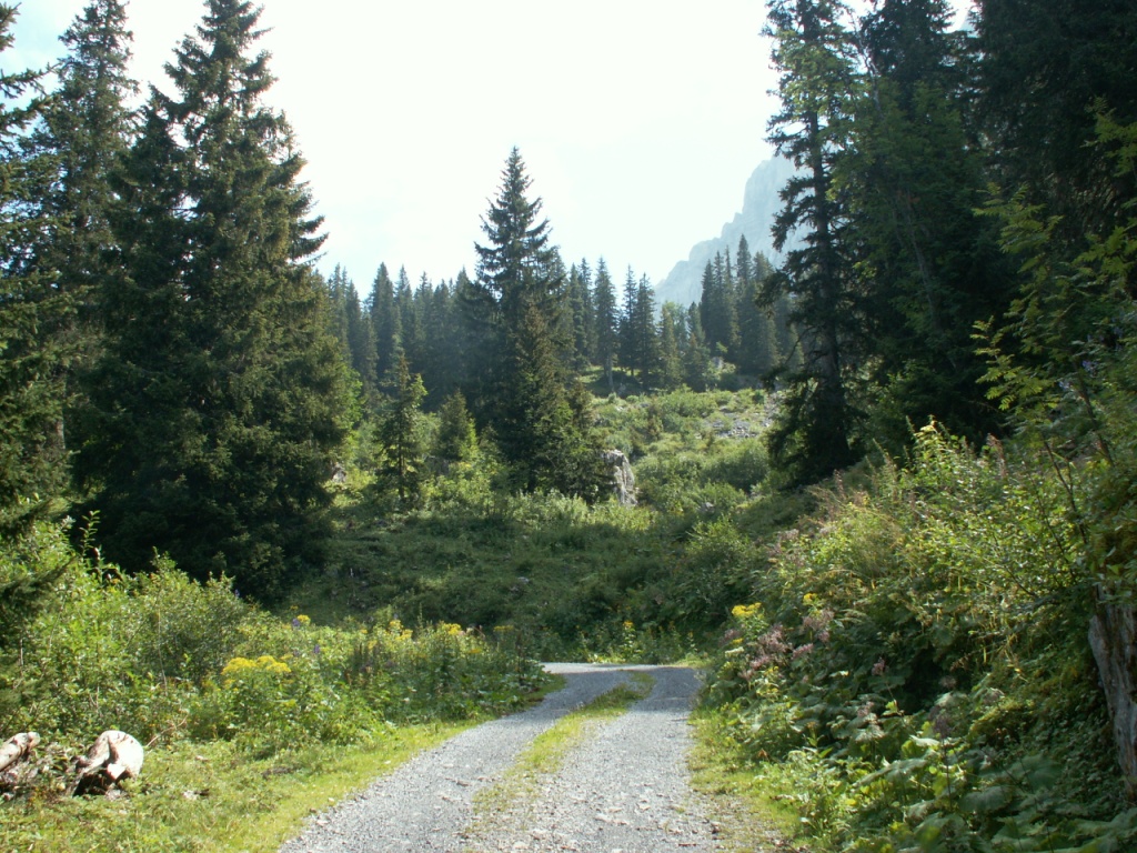 unser Weg zu den Rautihütten