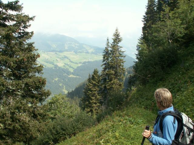 Mäusi bestaunt die Aussicht