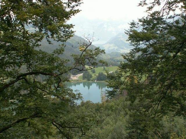 der Obersee