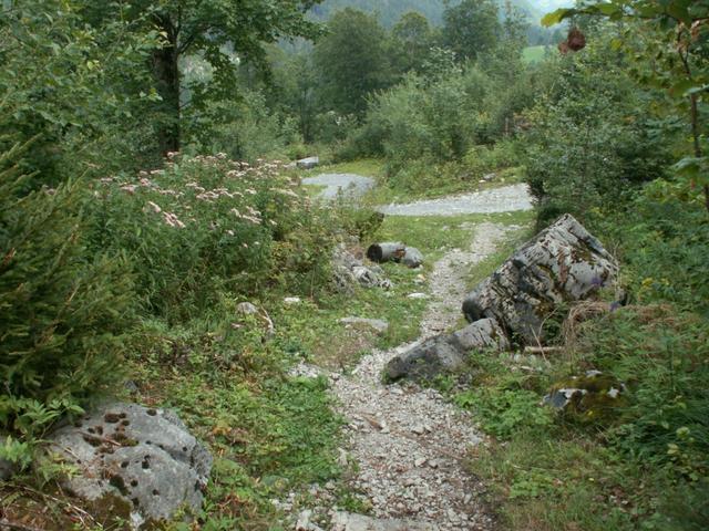 ein schöner Weg führt uns runter