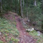 nun führt der Weg durch einen schönen Wald runter nach Näfels