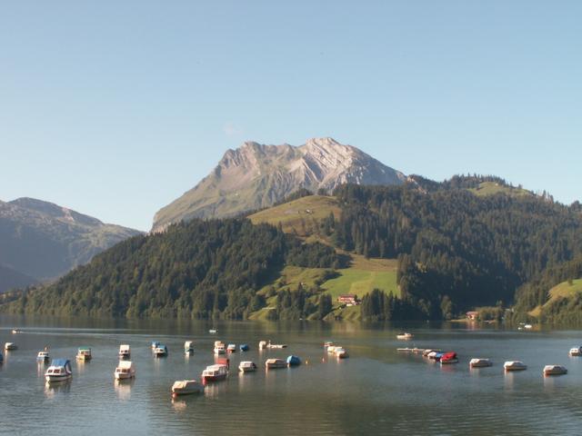 der Wägitalersee mit Fluebrig