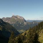 Blick zum Wägitalersee und Fluebrig