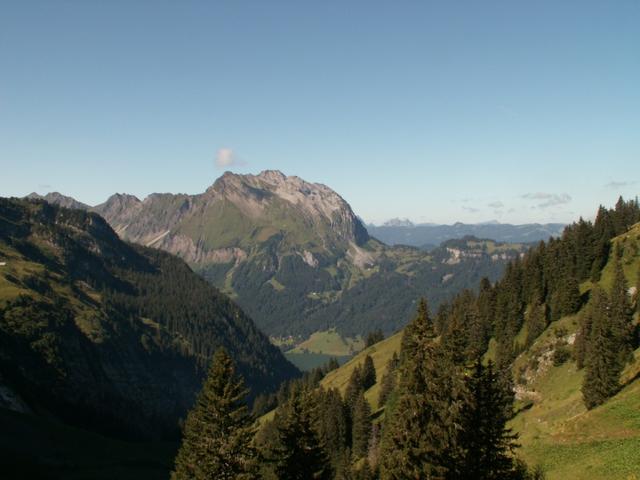 Blick zum Wägitalersee und Fluebrig