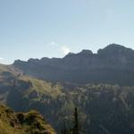 Blick zum Rautispitz, Wiggis und Schijen