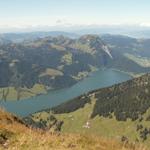 der Wägitalersee von oben