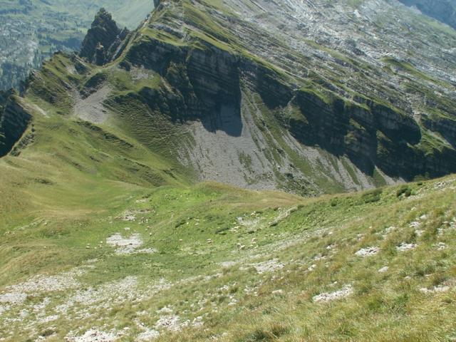 unser Weg führt rechts runter