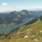 der Wägitalersee