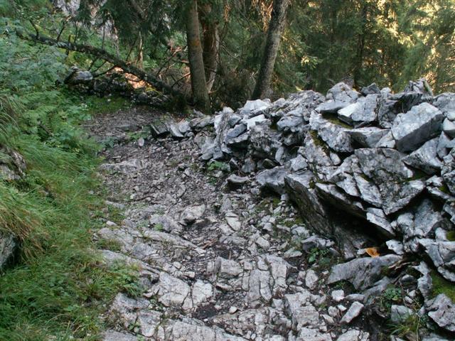 aus dem Fels gehauener Bergweg