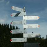 Wegweiser im Montafon