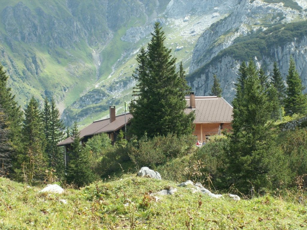 die Hütte liegt eingebettet in einem kleinen Wald