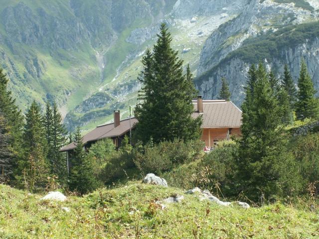 die Hütte liegt eingebettet in einem kleinen Wald