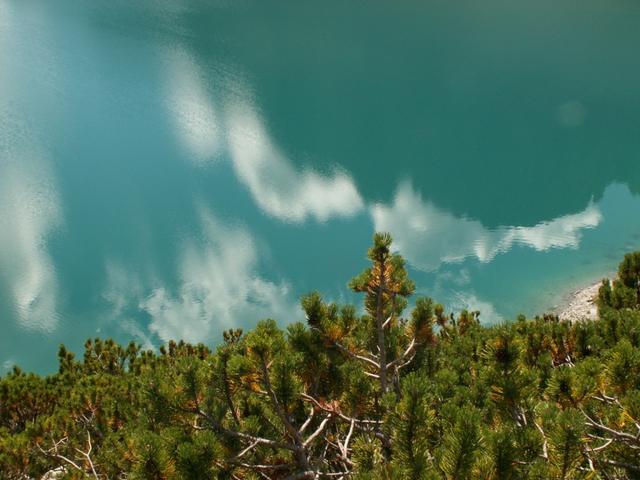 Spiegelungen auf dem Wasser