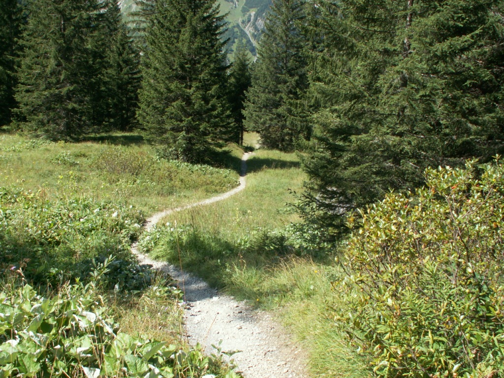 es geht über einen schönen Wanderweg nach Brand