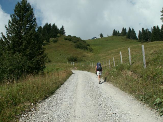 auf dem Weg Richtung Amatschonjoch