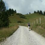 auf dem Weg Richtung Amatschonjoch