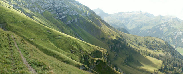 alles am Hang entlang geht es weiter Richtung Nenzinger Himmel