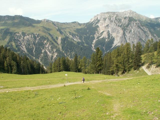 auf der Setschalpe 1722 m.ü.M.