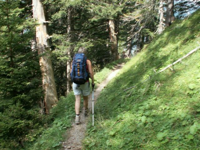 durch einen sehr schönen Wald geht es ins Tal runter