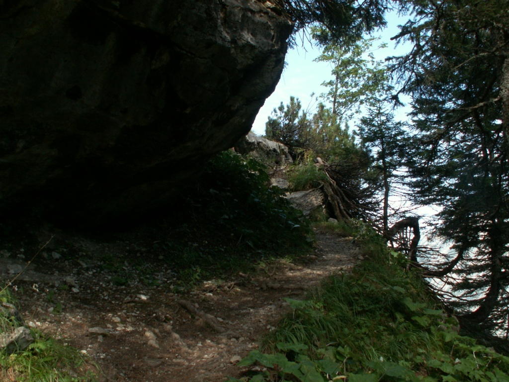 eine schöner Wanderweg