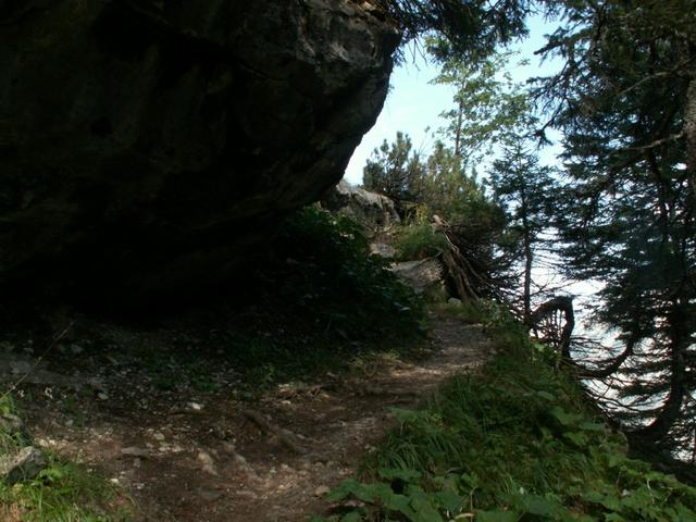 eine schöner Wanderweg