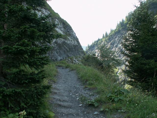 wir tauchen aus dem Wald heraus