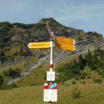 Bachplanggen 1479 m.ü.M. wir nehmen den linken Weg