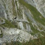 der zurückgelegte Weg, gefährlichste Stelle die Holzbrücke