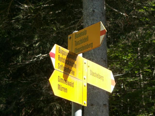 bei Im Tal 1259 m.ü.M. biegt der Weg Richtung Busenalp links weg