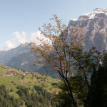 Blick auf Gimmelwald mit Schwarzmönch