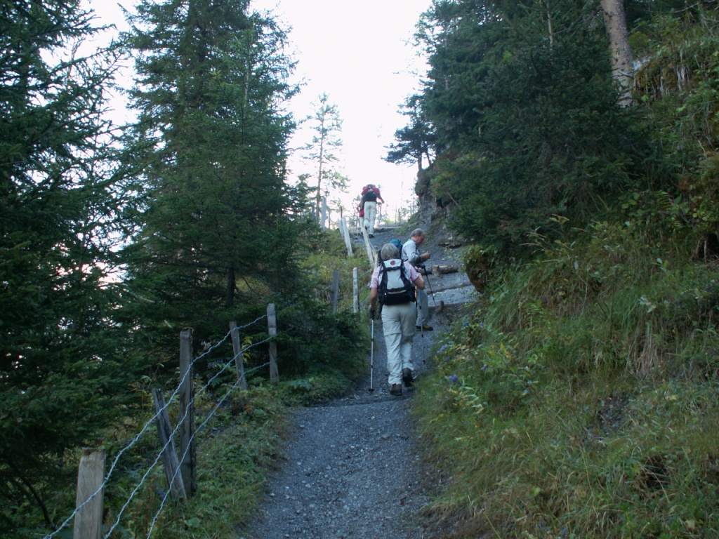 über einen guten Weg geht es weiter aufwärts