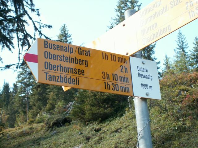 Wegweiser bei der unteren Busenalp 1600 m.ü.M.