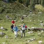 auf der Busenalp