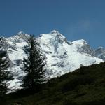 die Jungfrau